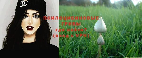 прущий лед Надым