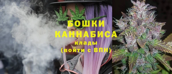 ПСИЛОЦИБИНОВЫЕ ГРИБЫ Наволоки