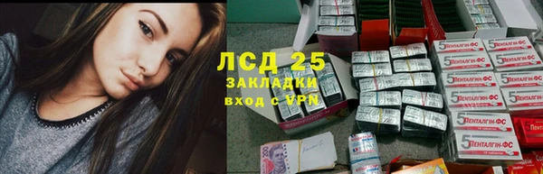 ПСИЛОЦИБИНОВЫЕ ГРИБЫ Михайловск